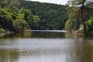 Dagsomvisning til Pugu Kazimzumbwi-skogen og båttur på Minaki-dammen