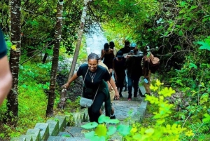 Dagsomvisning til Pugu Kazimzumbwi-skogen og båttur på Minaki-dammen