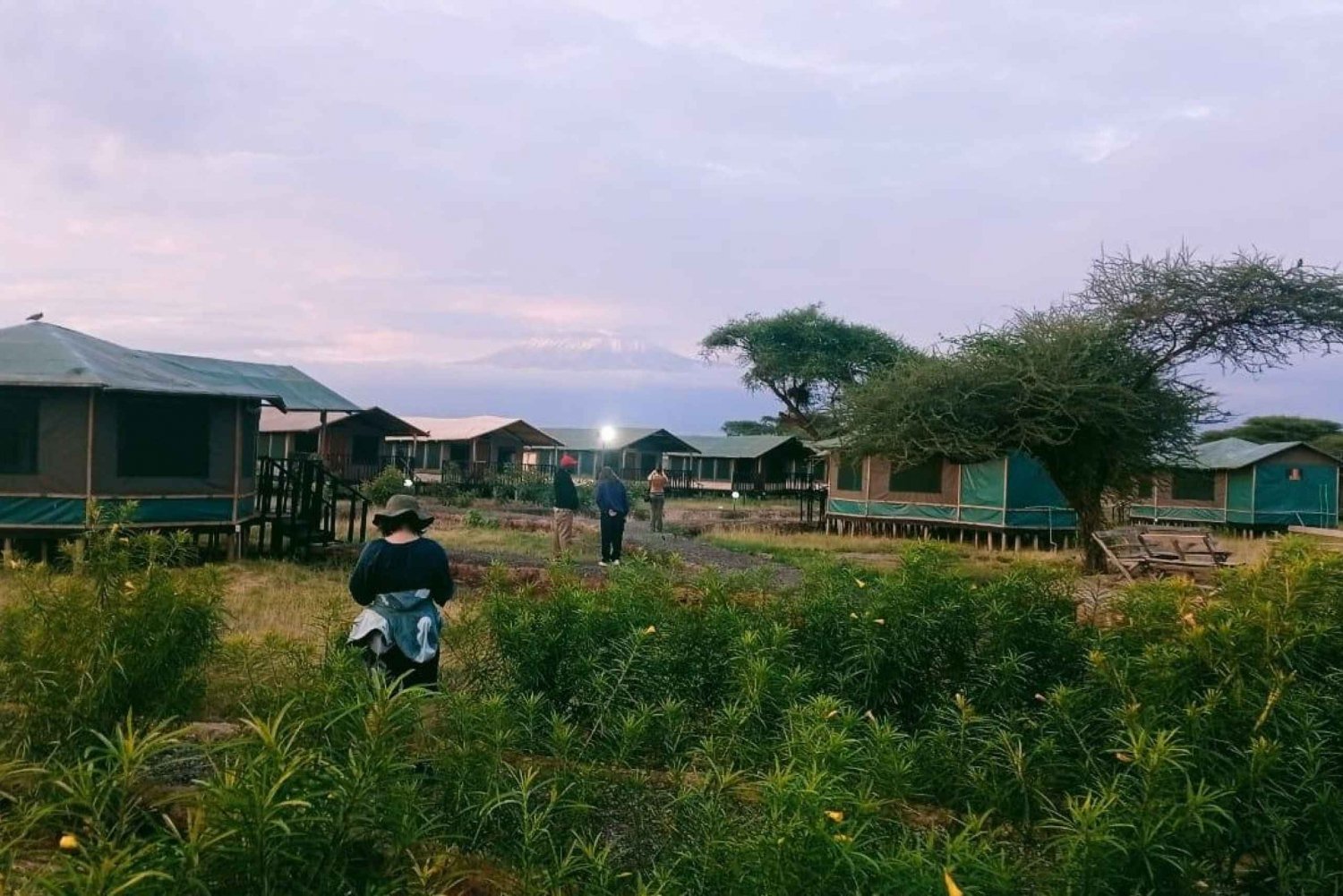 Dagstur amboseli nasjonalpark fra nairobi budsjettsafari.