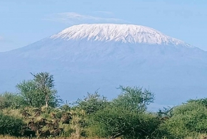 Dagstur amboseli nasjonalpark fra nairobi budsjettsafari.