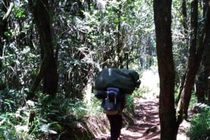 Day trip from Moshi to Mandara Hut Kilimanjaro National Park