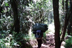 Päiväretki Moshista Mandara Hutiin Kilimanjaron kansallispuistoon