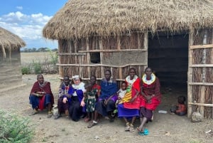 Excursión de 1 día a un pueblo masái, las cascadas de Materuni y un tour de café