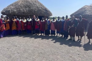 Excursión de 1 día a un pueblo masái, las cascadas de Materuni y un tour de café