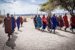 Excursión de 1 día a un pueblo masái, las cascadas de Materuni y un tour de café