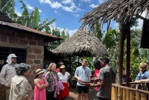 Excursión de 1 día a un pueblo masái, las cascadas de Materuni y un tour de café