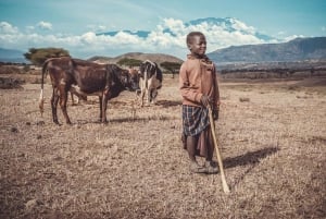 Excursión de 1 día a un pueblo masái, las cascadas de Materuni y un tour de café