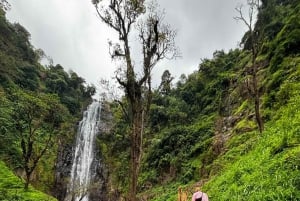 Excursión de 1 día a un pueblo masái, las cascadas de Materuni y un tour de café