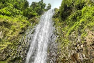 Excursión de 1 día a un pueblo masái, las cascadas de Materuni y un tour de café