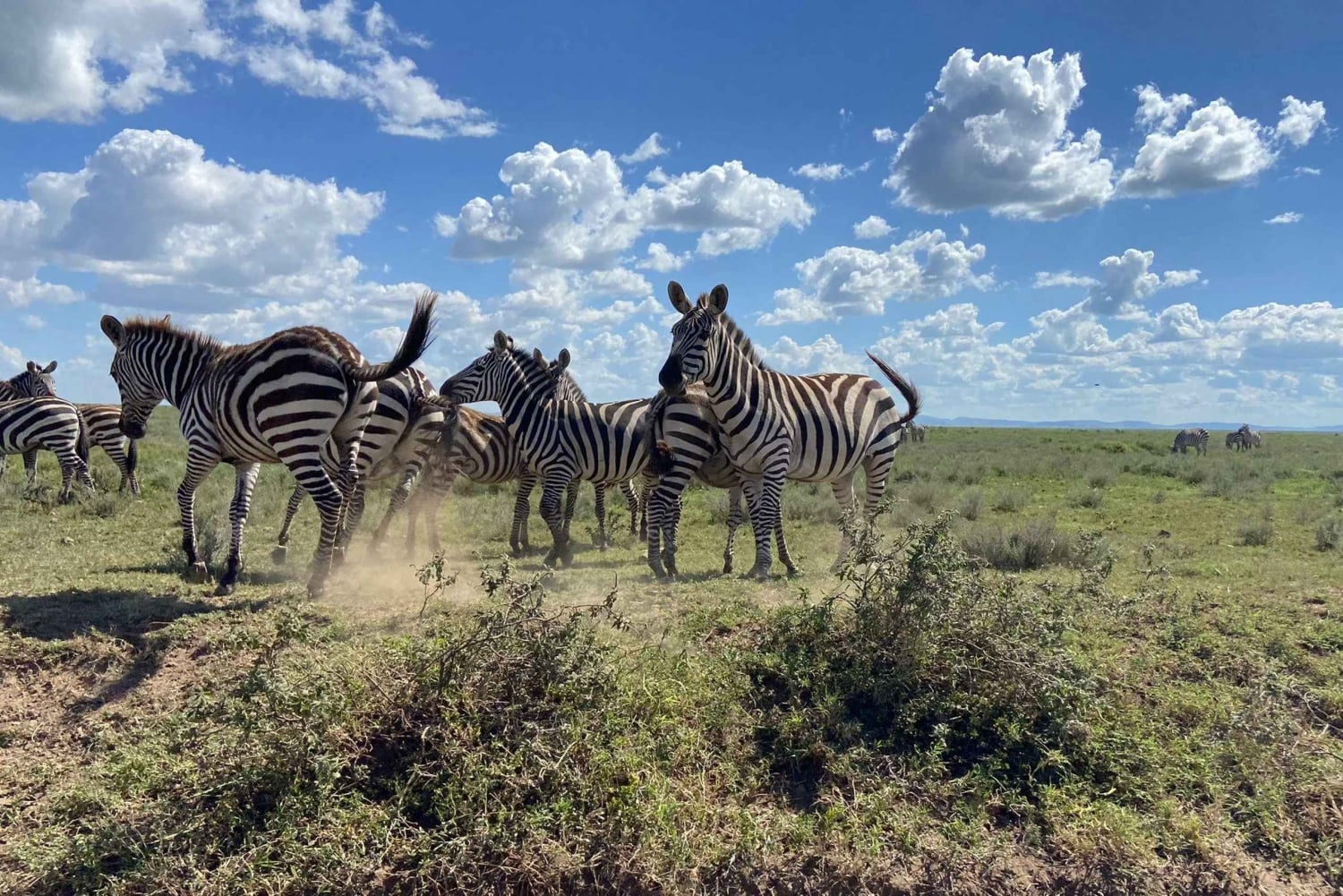 Day trip to tarangire national park
