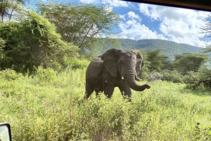 Day trip to tarangire national park