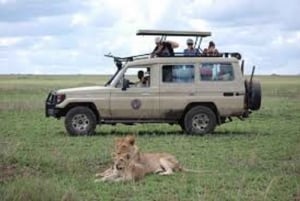 Discover Tarangire National Park: One Day Trip Tour