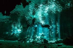 Upptäck Tumbatu Island: Privat snorklingsäventyr