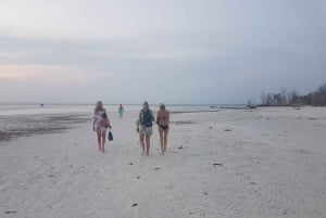 Dauphins +Forêt de Jozani+ Grotte de Kuza+Restaurant The Rock & Paje