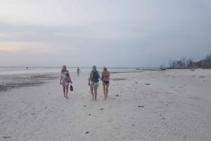 Delfin +Jozani Forest+ Kuza Cave+The Rock restaurant & Paje