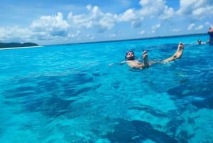 Dolphin tour and snorkeling at Mnemba island