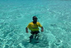 Delfintur og snorkling på øen Mnemba