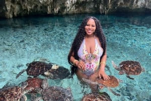 Dolphin tour and swimming with sea turtles and kuza cave