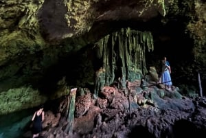 Dolphin tour and swimming with sea turtles and kuza cave