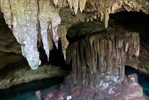 Dolphin tour and swimming with sea turtles and kuza cave
