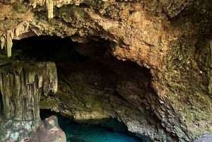 Dolphin tour and swimming with sea turtles and kuza cave