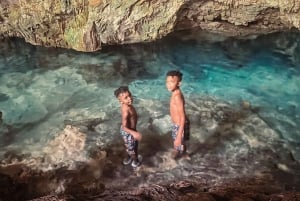 Dolphin tour and swimming with sea turtles and kuza cave