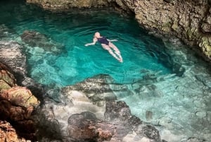 Dolphin tour and swimming with sea turtles and kuza cave