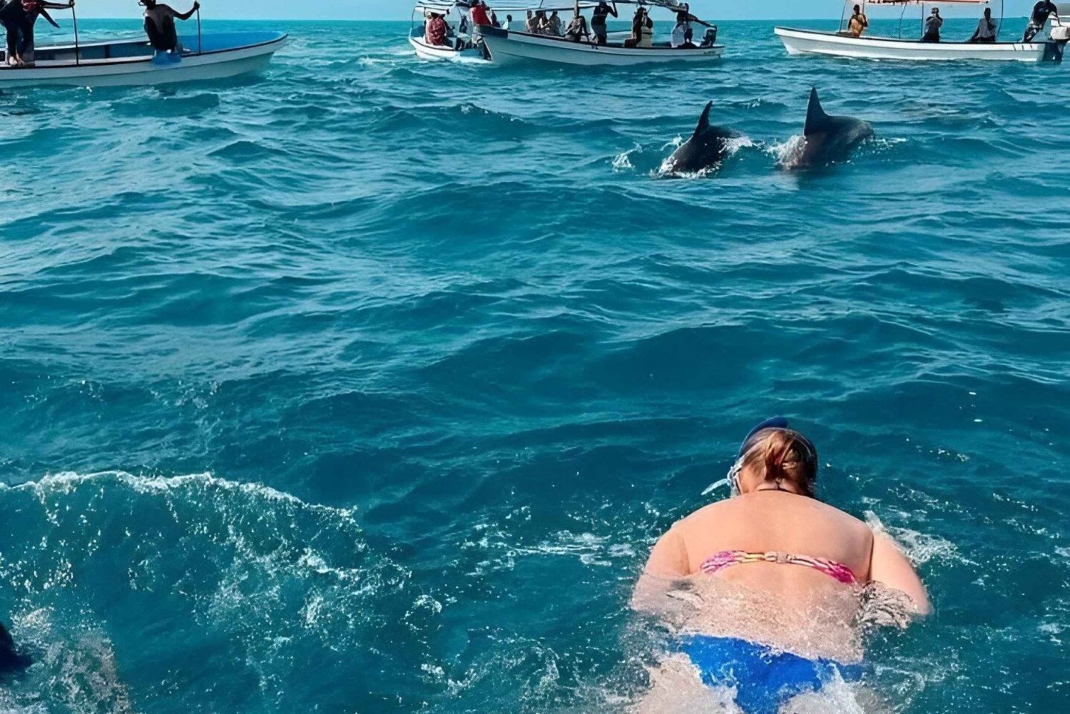 visite des dauphins sur l'île de mnemba