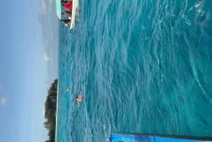 Zanzibar Dolphin tour & Snorkeling at Mnemba reef