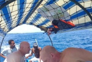 イルカとシュノーケリング ザンジバル：ムンバ島ツアー