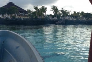 Delfintour und Schildkrötenschwimmen in Kizimkazi