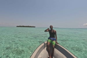 Delfintour und Schildkrötenschwimmen in Kizimkazi