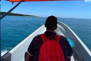 Экскурсия к дельфинам и плавание черепах в Кизимкази