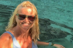 Delfiinikierros + mnemban saaren snorklaus + salaam turles