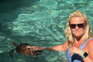 Delfiinikierros + mnemban saaren snorklaus + salaam turles