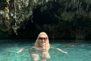 Delfiinikierros + mnemban saaren snorklaus + salaam turles