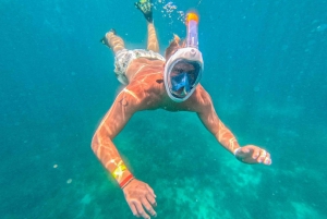 Delfiinikierros + mnemban saaren snorklaus + salaam turles