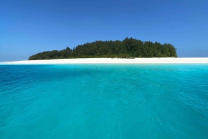 Delfiinikierros + mnemban saaren snorklaus + salaam turles