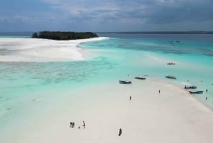 Delfintur og snorkling på øya Mnemba på Zanzibar
