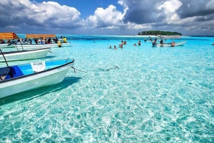 Øko-snorkling i Mnemba – delfiner, bæredygtigt rev og søstjerner