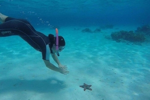 Øko-snorkling i Mnemba – delfiner, bæredygtigt rev og søstjerner