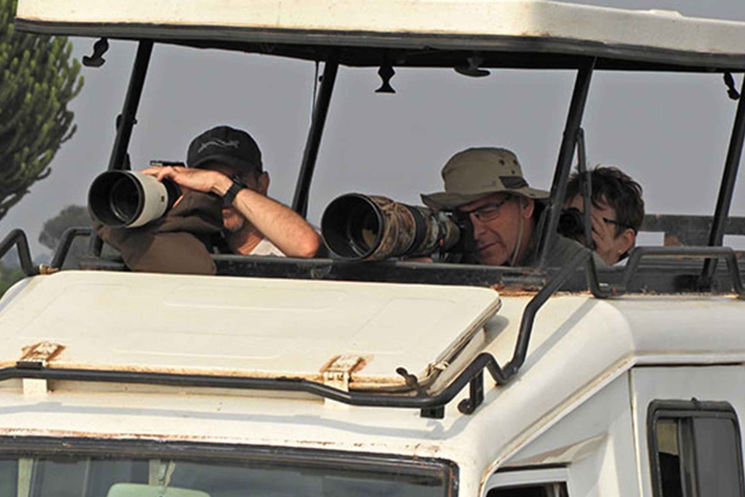 Entebbe: 9 dias de trekking com gorilas no Uganda e safari na Tanzânia