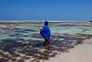 Pajesta: Sansibarin kylän tunnelma