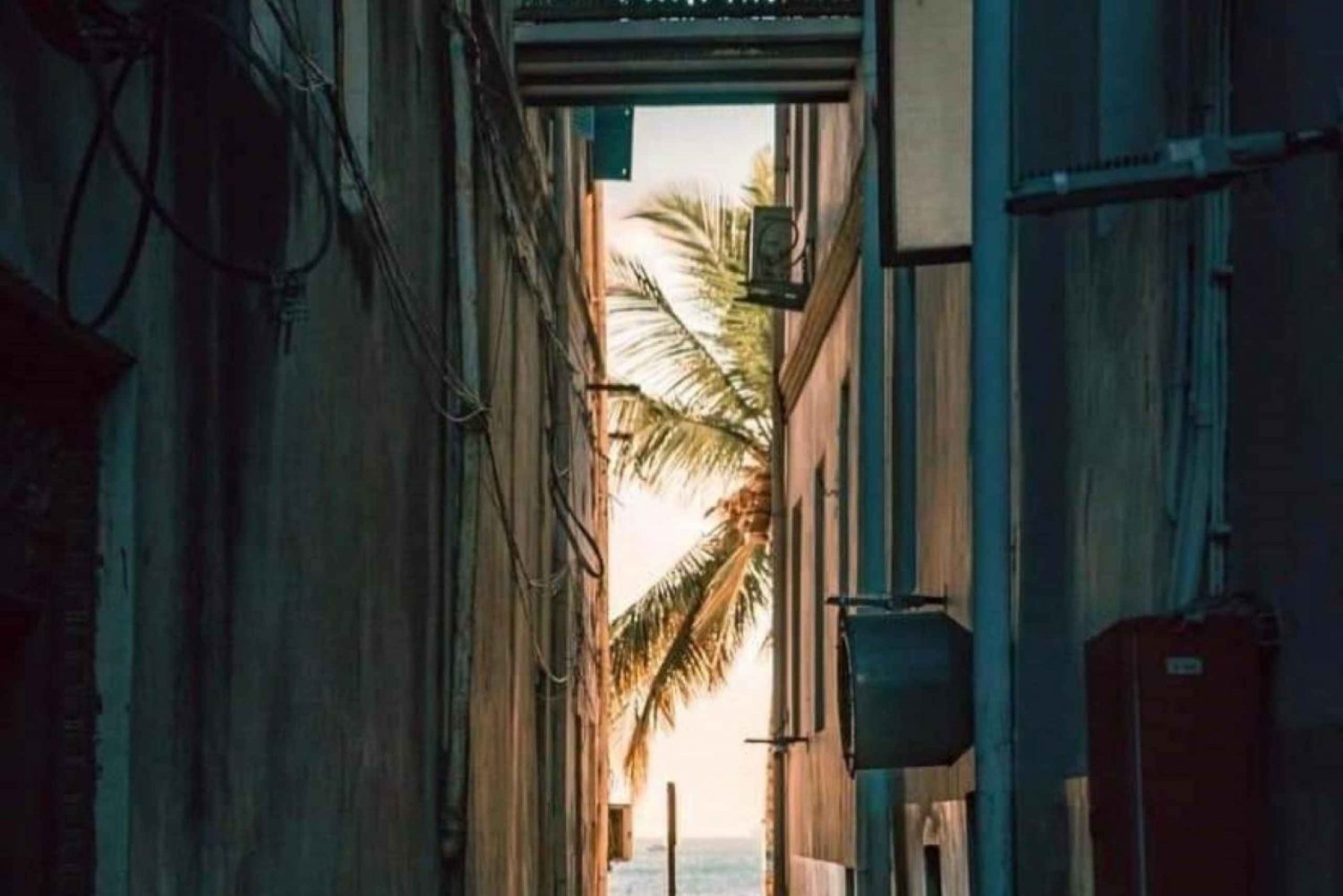 Zanzibar: Avondwandeltour door stone town met avondmarkt