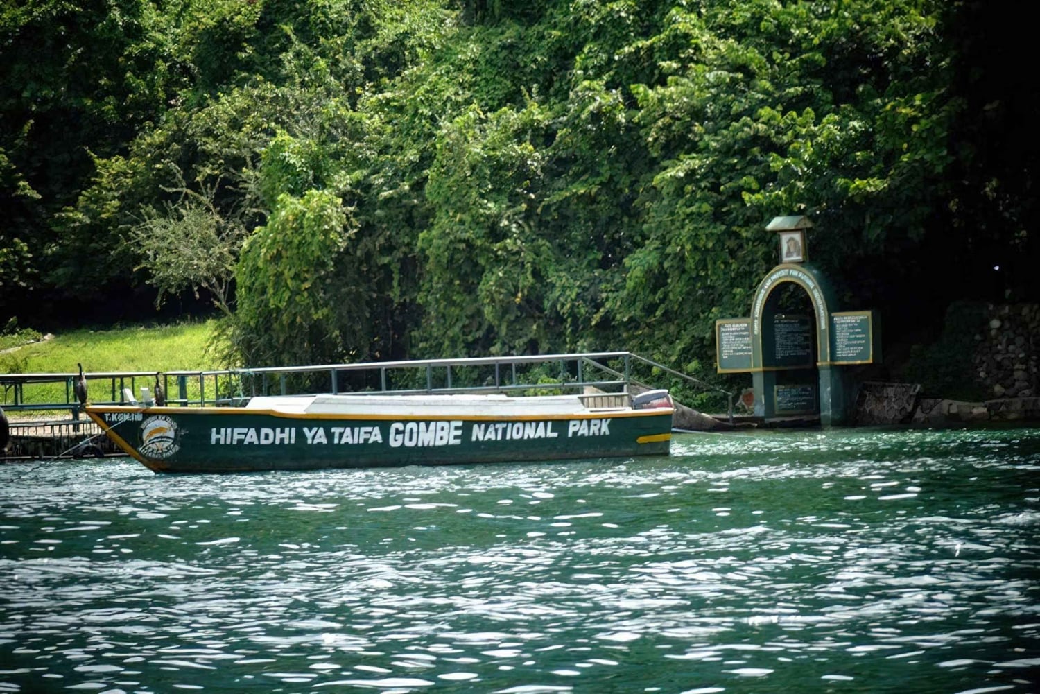 Experience 3 Day Chimps Tracking Gombe Stream National Park