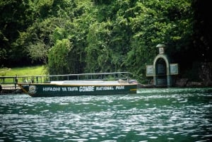 Vivi 3 giorni alla ricerca degli scimpanzé nel Parco Nazionale di Gombe Stream