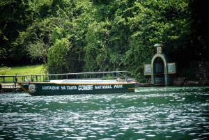 Experience 3 Day Chimps Tracking Gombe Stream National Park