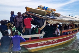 Experience 3 Day Chimps Tracking Gombe Stream National Park