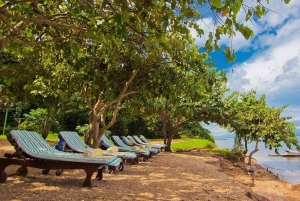 Experience 3 Day Chimps Tracking Gombe Stream National Park