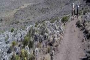 Najlepsza krótka wycieczka: 2-dniowa wycieczka trasą Marangu na Kilimandżaro